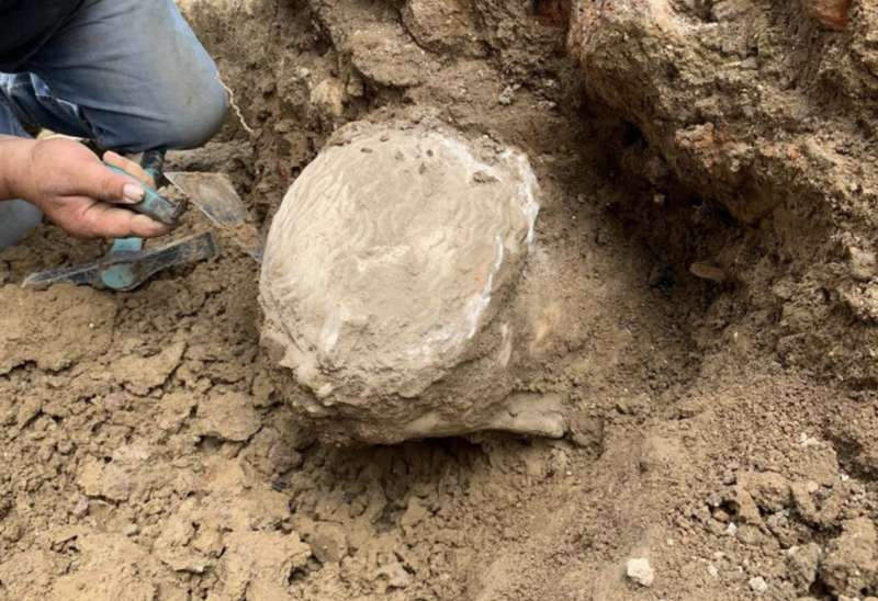 testa di marmo ritrovata a piazza augusto imperatore, a roma 2