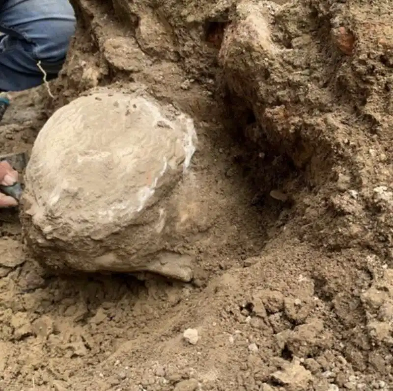 testa di marmo ritrovata a piazza augusto imperatore, a roma   4