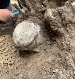 testa di marmo ritrovata a piazza augusto imperatore, a roma 5