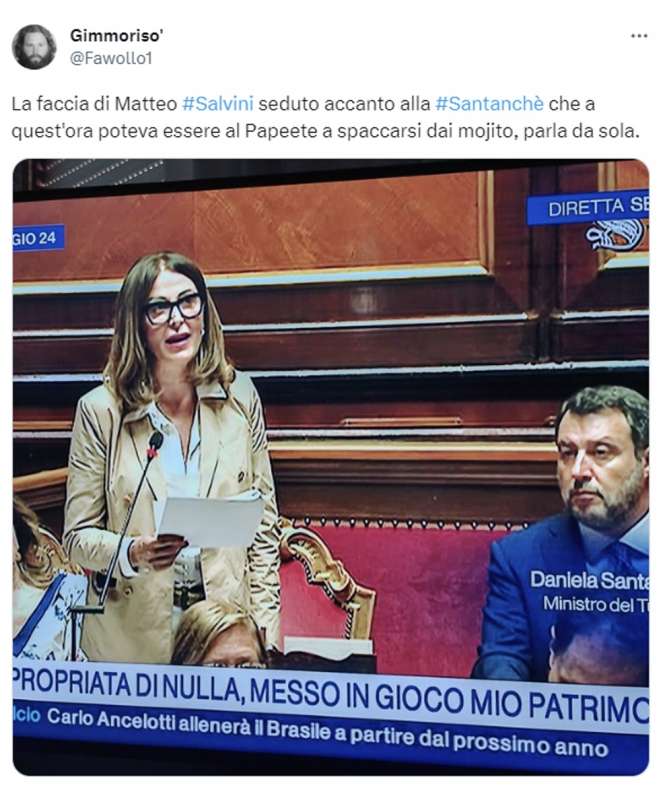 tweet sull informativa di daniela santanche in senato 17