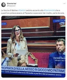 tweet sull informativa di daniela santanche in senato 17