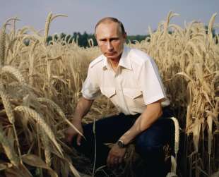 vladimir putin in un campo di grano immagine creata con midjourney 1