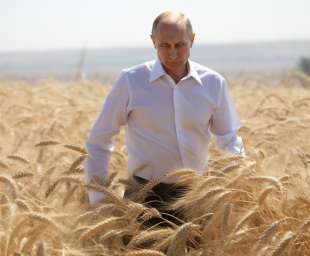 vladimir putin in un campo di grano immagine creata con midjourney 3