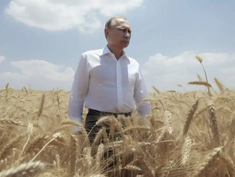 vladimir putin in un campo di grano   immagine creata con midjourney    4