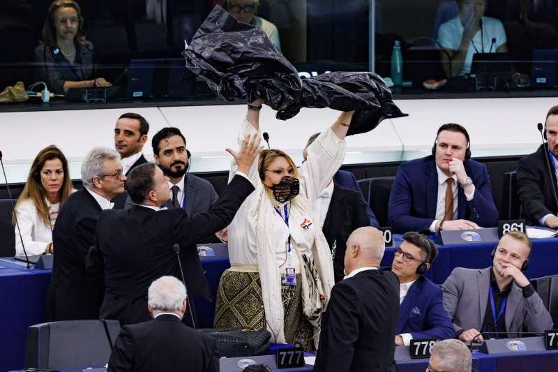 diana iovanovici sosoaca con la museruola in parlamento europeo 1