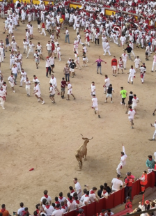 festa di san fermin pamplona 10