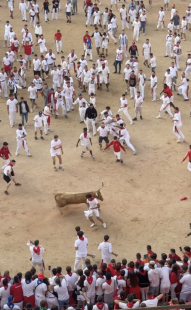 festa di san fermin pamplona 11