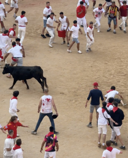 festa di san fermin pamplona 7