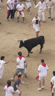 festa di san fermin pamplona 8