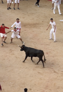 festa di san fermin pamplona 9