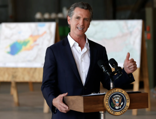 gavin newsom