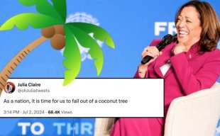 i meme di kamala harris e l albero di cocco 5