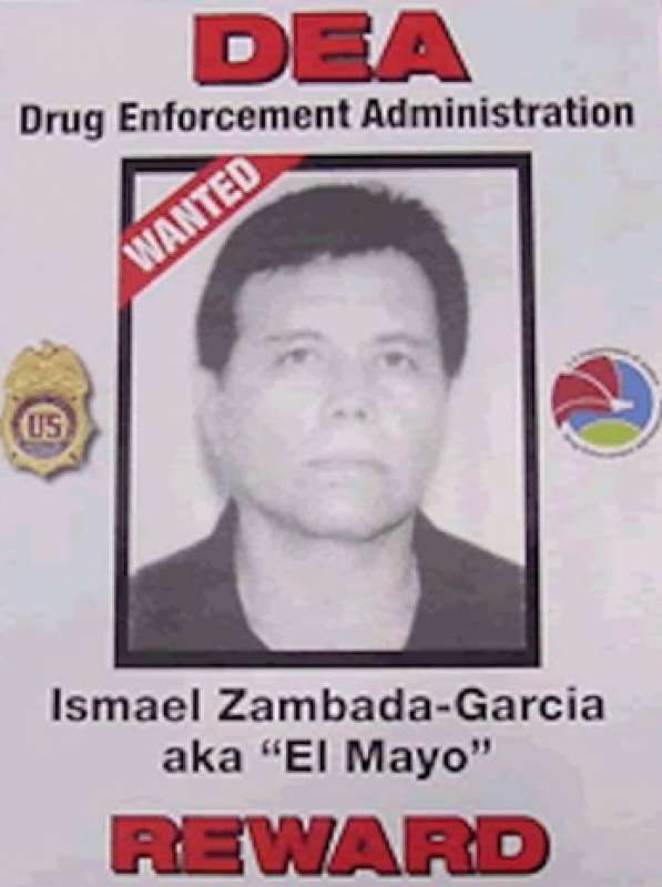 ismael 'el mayo' zambada 4