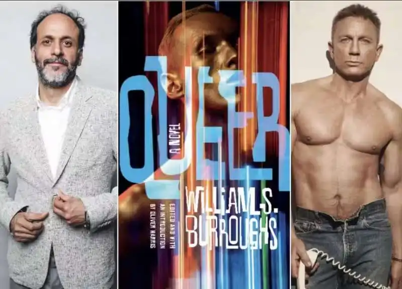 luca guadagnino daniel craig queer 