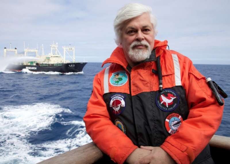 PAUL WATSON