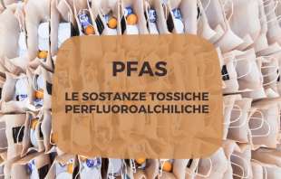 pfas 13