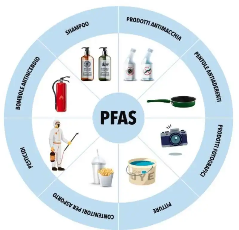 pfas 6