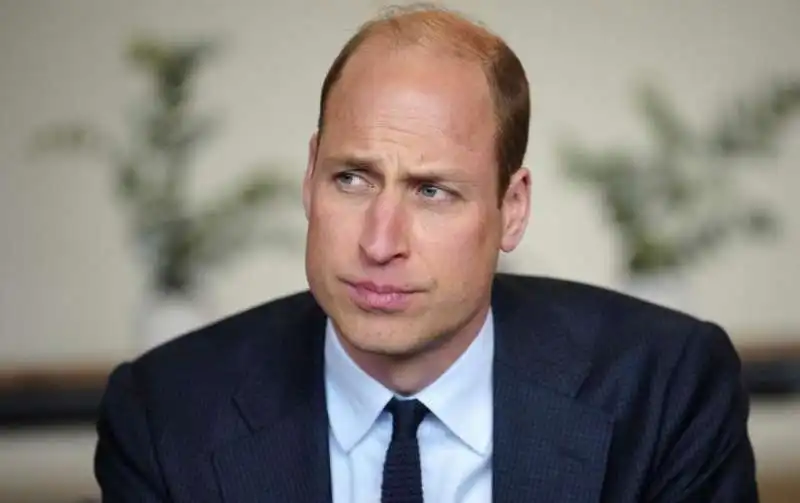 principe william 1