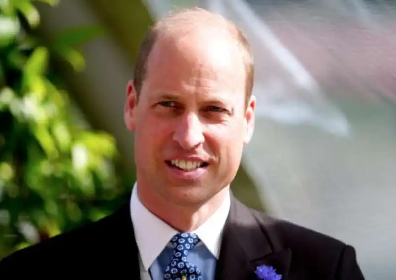 principe william 3