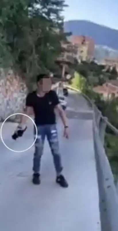 ragazzino lancia un gatto da un ponte   3