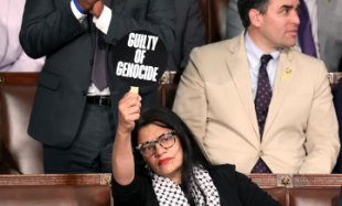 rashida tlaib 5