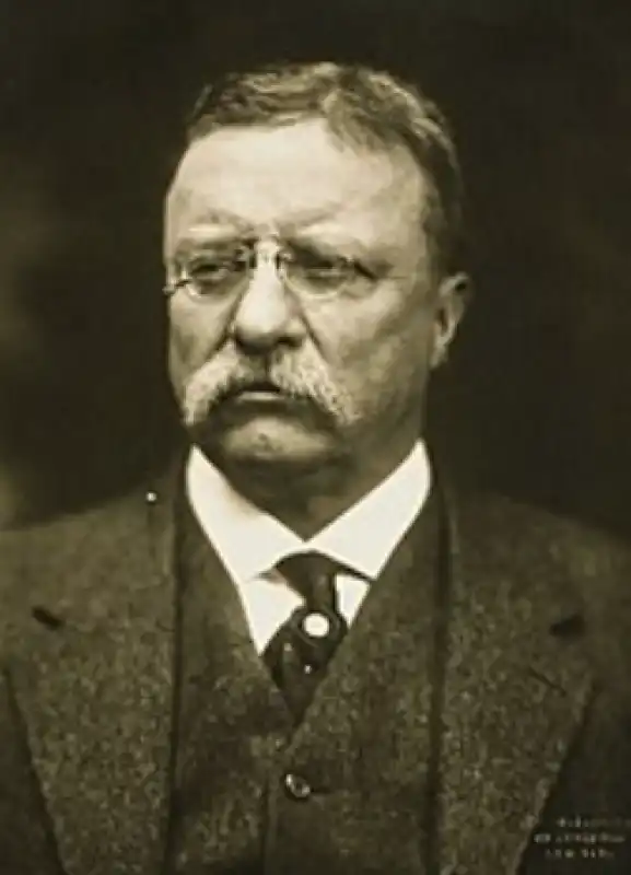 theodore roosevelt