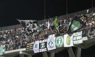 tifosi avellino.