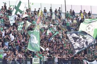 tifosi avellino.