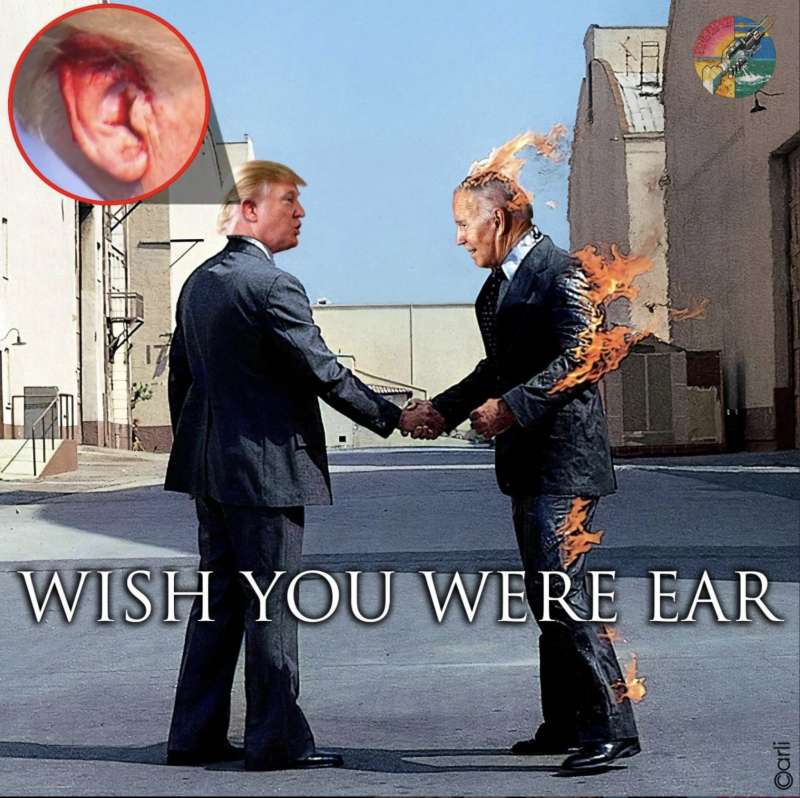 WISH YOU WERE EAR - MEME BY EMILIANO CARLI