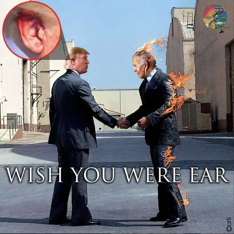 WISH YOU WERE EAR - MEME BY EMILIANO CARLI 