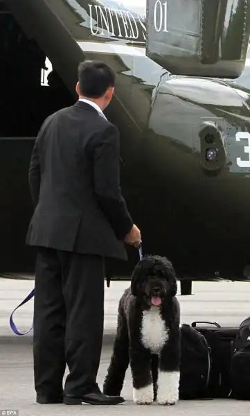 BO IL CANE DEGLI OBAMA TRASPORTATO CON ELICOTTERO DEI MARINE 