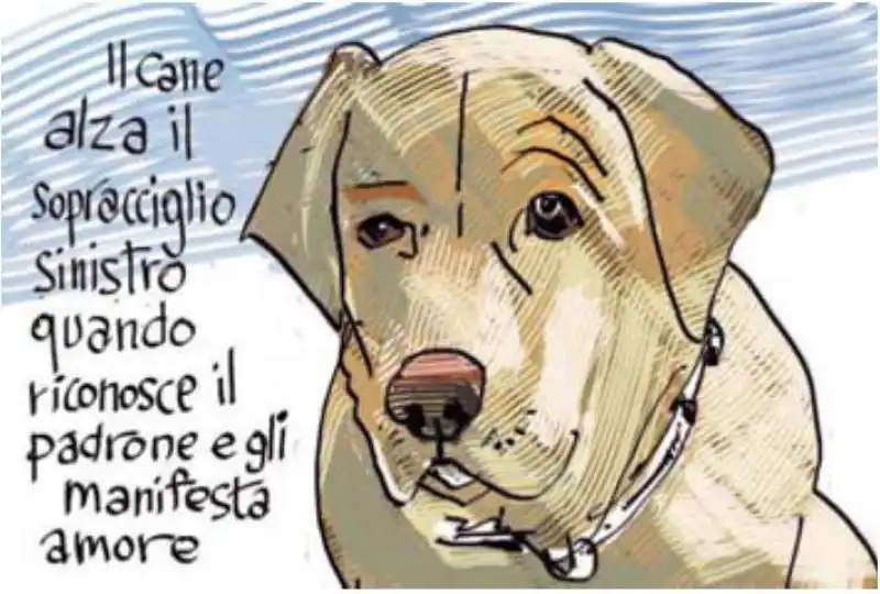 CANE LINGUAGGIO