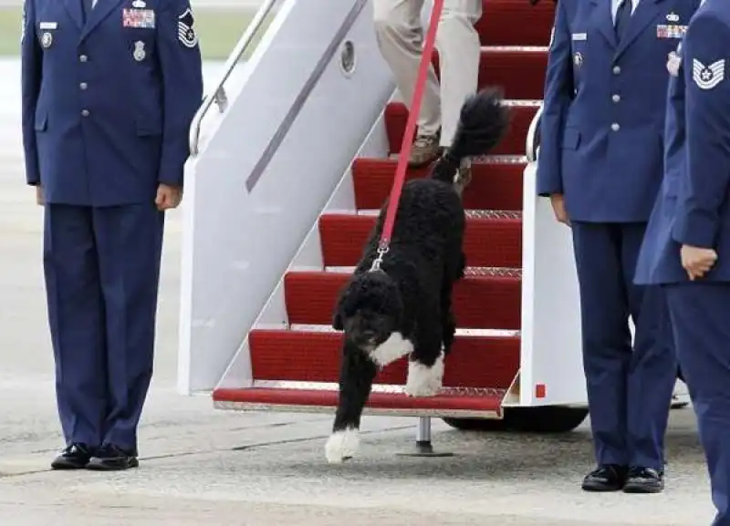 BO IL CANE DI OBAMA TRASPORTATO CON AEREI DI STATO