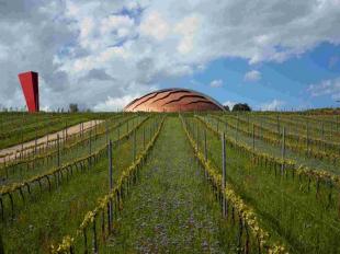 IL CARAPACE DI ARNALDO POMODORO PER LE CANTINE LUNELLI