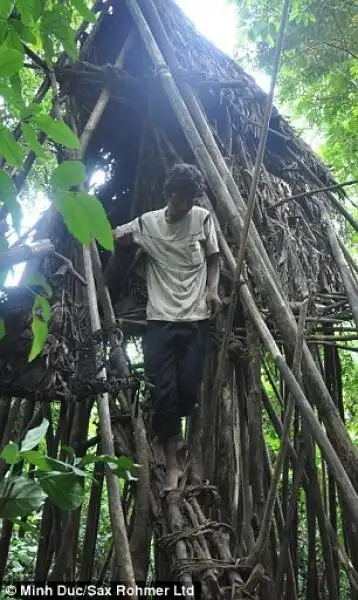 la casa nella foresta dove hanno vissuto ho van thanh e il figlio ho van lang 