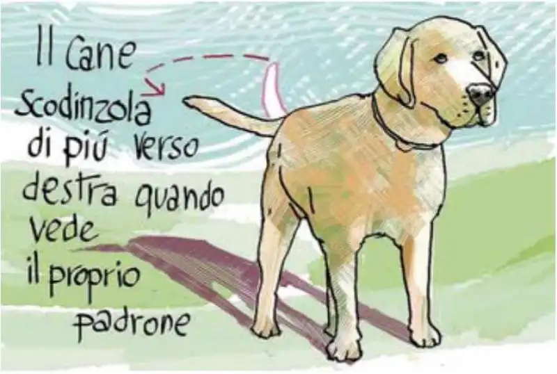 LA LINGUA DEL CANE