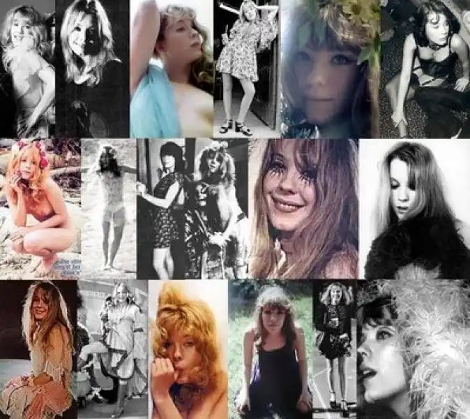 pamela des barres groupie 