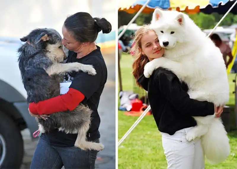 abbracci tra cani e umani 8