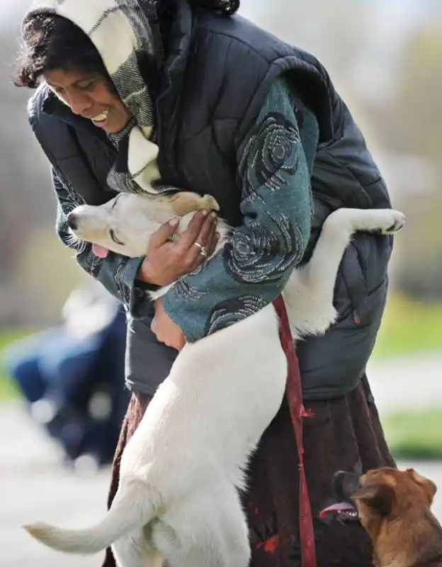 abbracci tra cani e umani 9