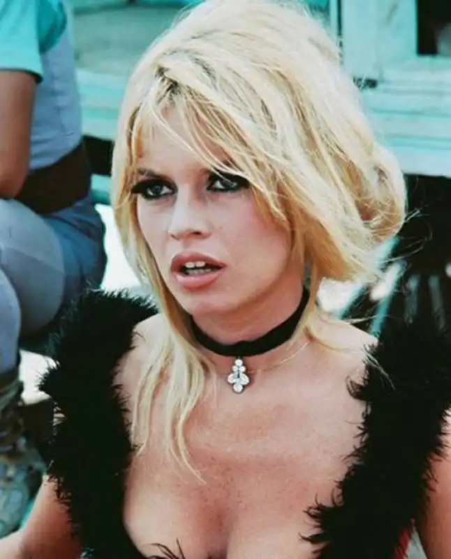 brigitte bardot