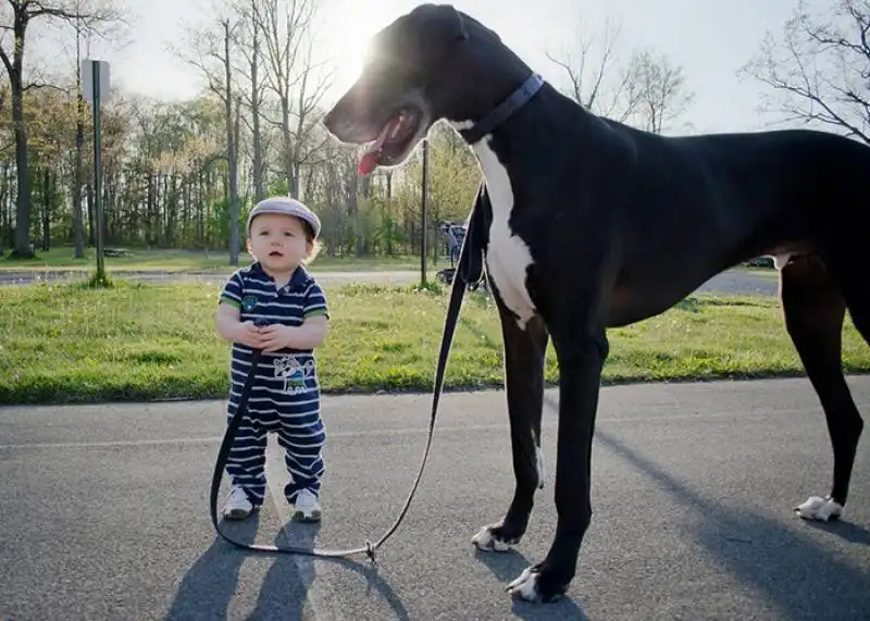 cagnoloni e bambini 17