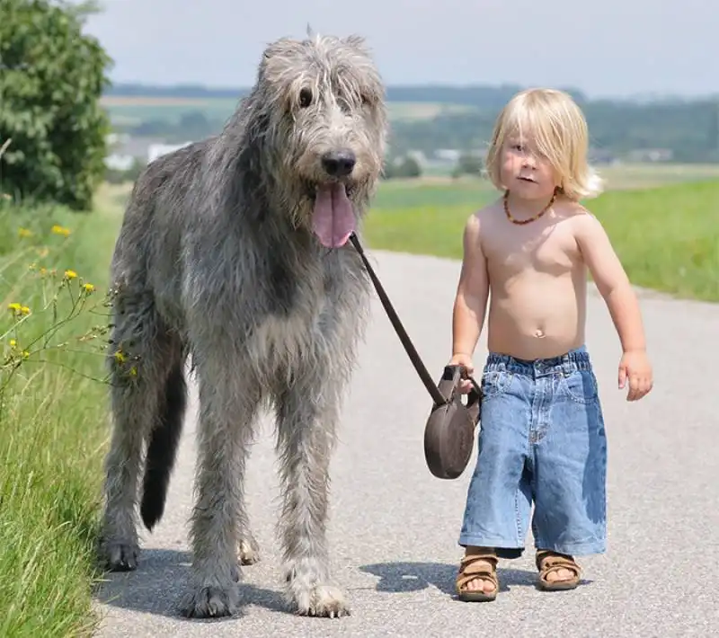 cagnoloni e bambini 20