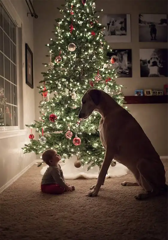 cagnoloni e bambini 21