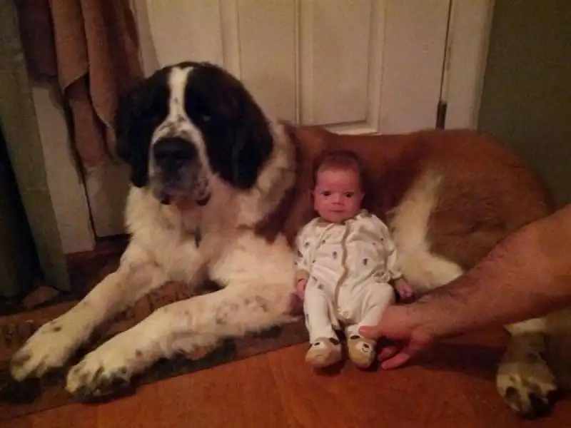 cagnoloni e bambini 8