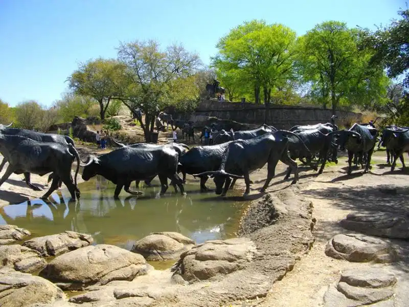 cattle drive, a dallas