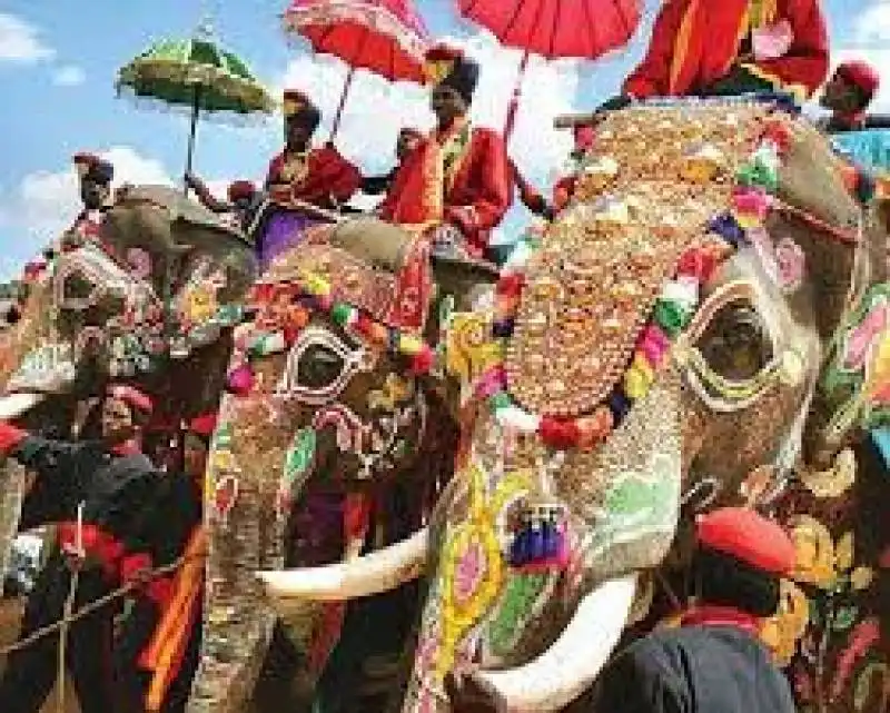 elefanti vestiti a festa