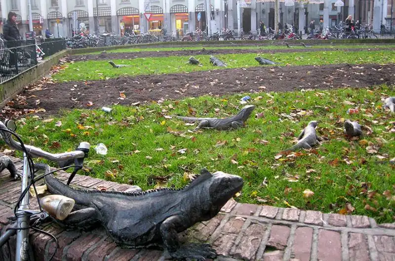 iguana park, ad amsterdam