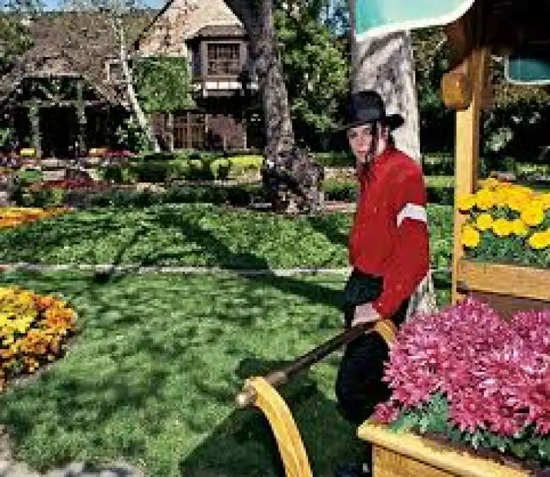 michael jackson neverland 3