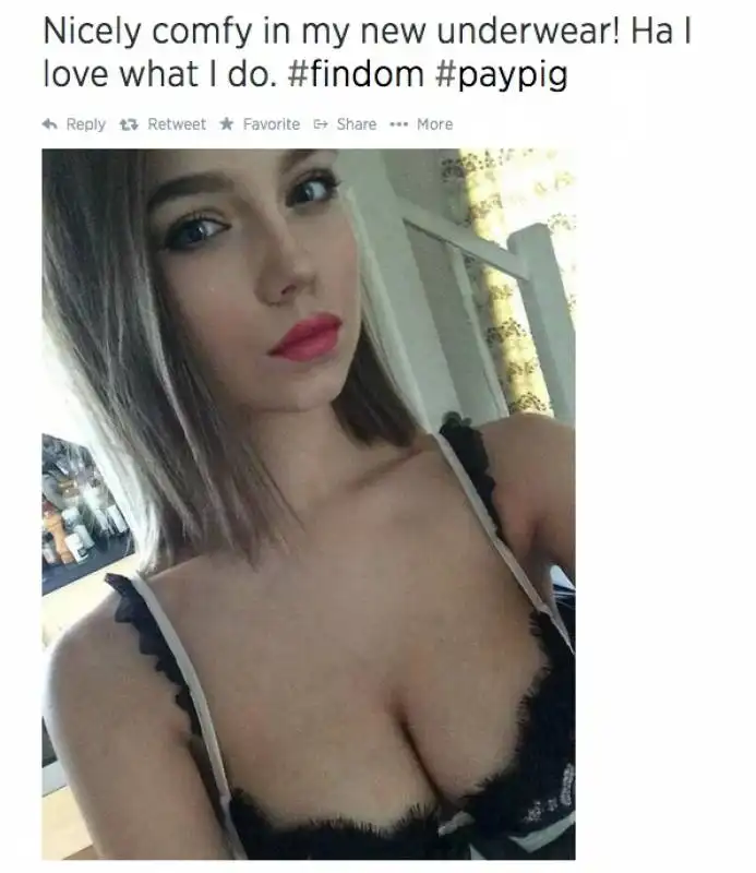 paypig comprate e sarete soddisfatti