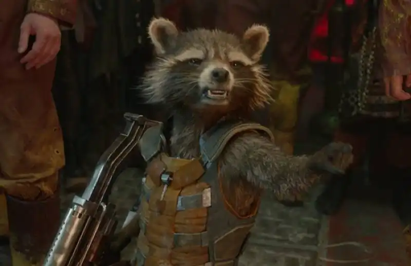 rocket raccoon 